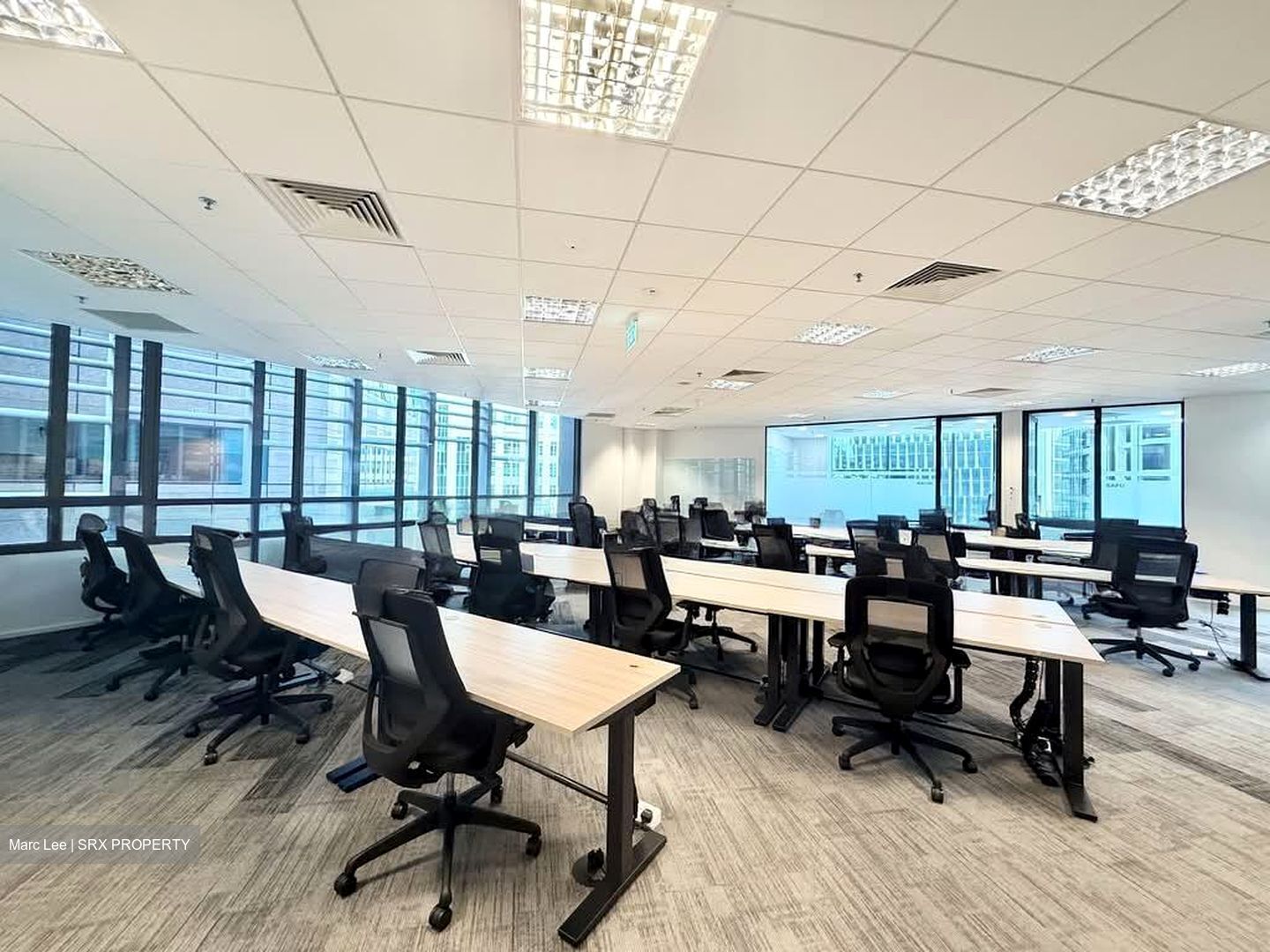 PLUS (D1), Office #560762141